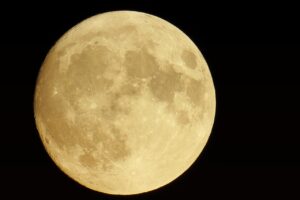 0歳向けのハロウィン仮装でおすすめのアイデアは？