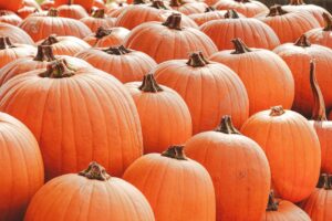 子供が喜ぶハロウィン衣装でおすすめのかぼちゃデザインは？