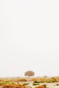 5歳の子どもが喜ぶハロウィンの仮装を手作りする方法は？