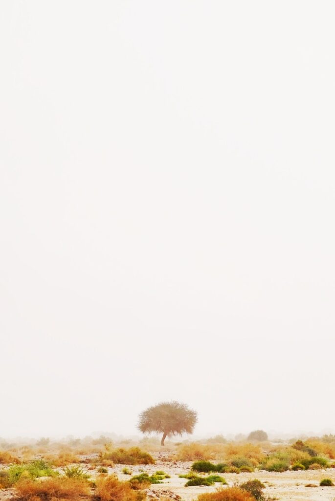 5歳の子どもが喜ぶハロウィンの仮装を手作りする方法は？