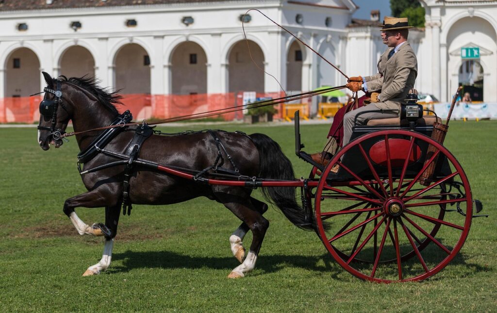 仮面ライダーのハロウィン仮装で子供が喜ぶアイデアは？