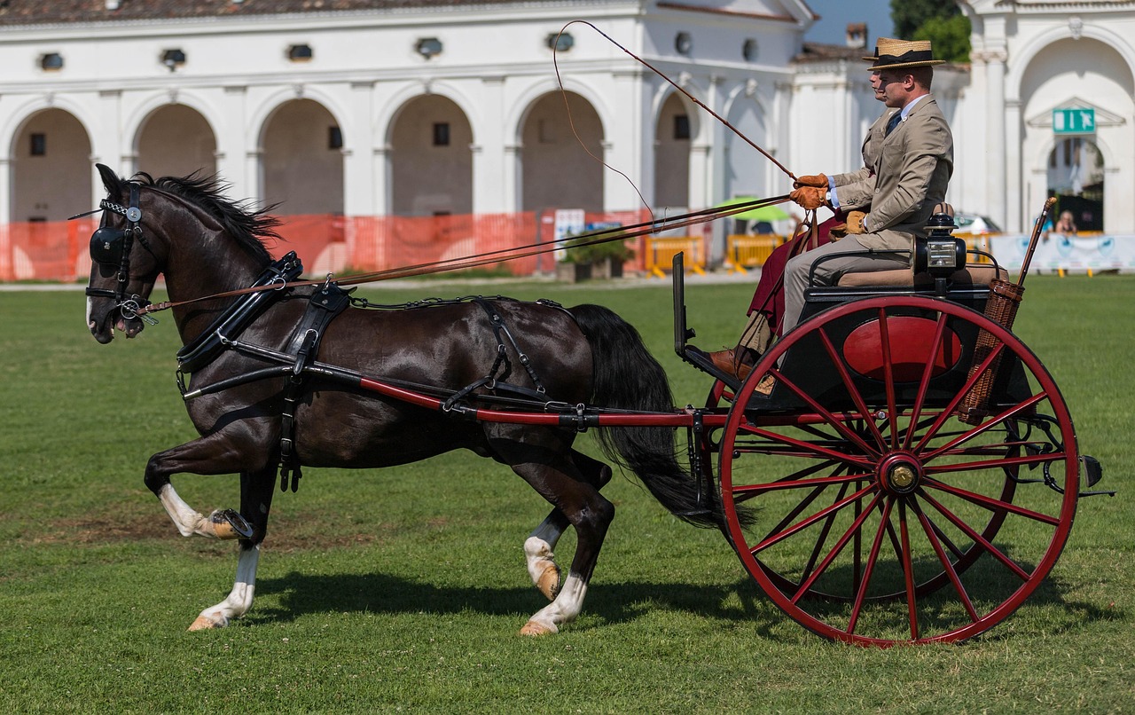 仮面ライダーのハロウィン仮装で子供が喜ぶアイデアは？