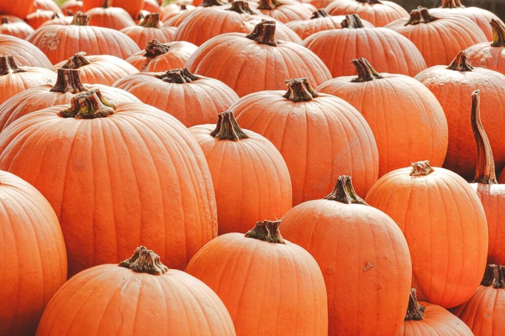 ハロウィンのコスプレで子供におすすめの衣装を比較してみましたか？