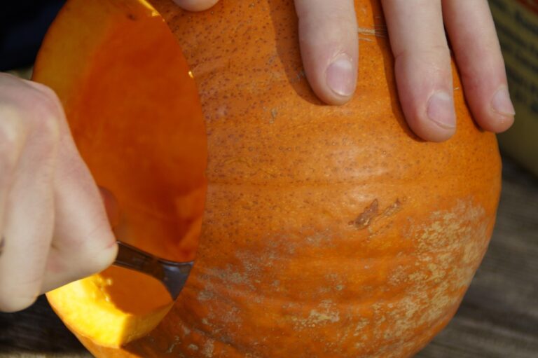 ハロウィン コスプレ 子供を簡単にDIYする方法は？